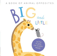 Board Book - Evans, Harriet - Big and Little