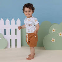 Kittens Short Sleeve Organic Bodysuit: 6-12 Months (0)