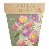 Sow n Sow - Birthday Wishes