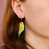 Australian Bird Earrings - Budgie