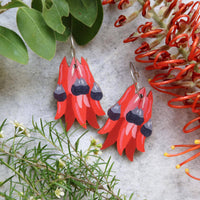 Australian Wildflower Earrings - Sturt Pea