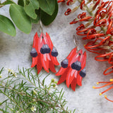 Australian Wildflower Earrings - Sturt Pea