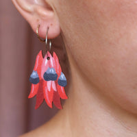 Australian Wildflower Earrings - Sturt Pea