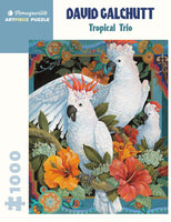 1000 Pc Jigsaw - David Galchutt Tropical Trio