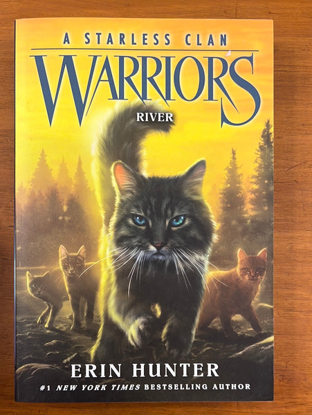 Hunter, Erin - Warriors Starless Clan 01 River (Paperback)