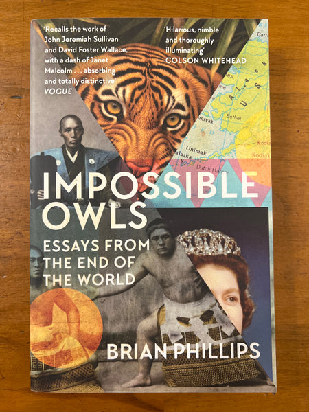 Phillips, Brian - Impossible Owls (Paperback)