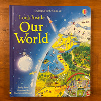 Usborne Lift the Flap - Our World (Board Book)