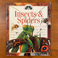 Discoveries - Insects and Spiders (Paperback)