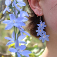 Australian Wildflower Earrings - Sun Orchid