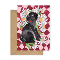 Togetherness Card - Daisy Dog