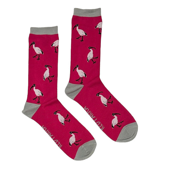 Red Parka Kids Socks - Ibis