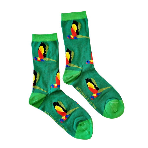 Red Parka Kids Socks - Rainbow Lorikeet